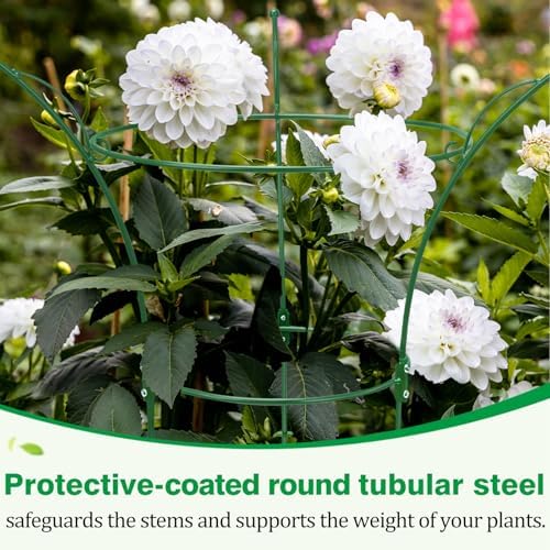 4 Pack Peony Cages and Supports Cages 13" D x 22.8" H Sturdy Metal Support Frame for Peonies & Roses Natural Bouquet Shape Garden Stakes for Outdoor Plants Flowers Ornamental (Green) - Image 5