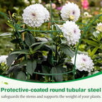 4 Pack Peony Cages and Supports Cages 13" D x 22.8" H Sturdy Metal Support Frame for Peonies & Roses Natural Bouquet Shape Garden Stakes for Outdoor Plants Flowers Ornamental (Green) - Image 5