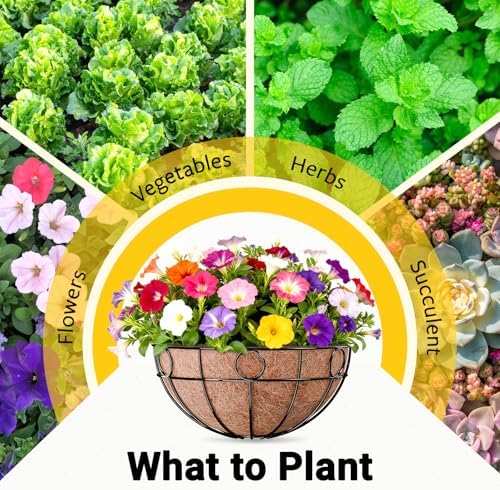 ZeeDix 2 Pack 14 Inch Metal Outdoor Plant Hanging Baskets, Round Wire Planter Basket with Coco Coir Liner, Large Hanging Flower Pots for Outdoor Garden Yard Patio Porch Balcony Decor - Image 7