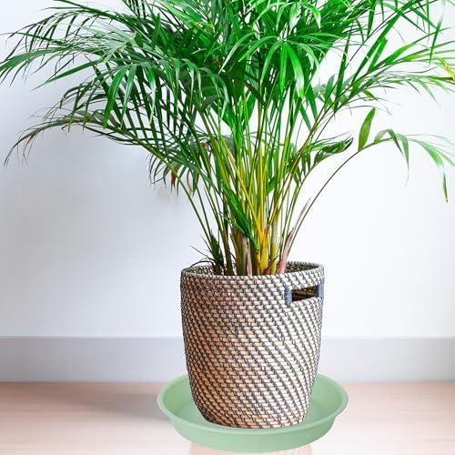 4 Pack of 14 inch Plant Saucers Bird Bath Bow Round, Plastic Plant Saucer Tray for Pots, White Planters for Indoor Plants, Plant Trays for Planter 12-15" (14", Light Green) - Image 3