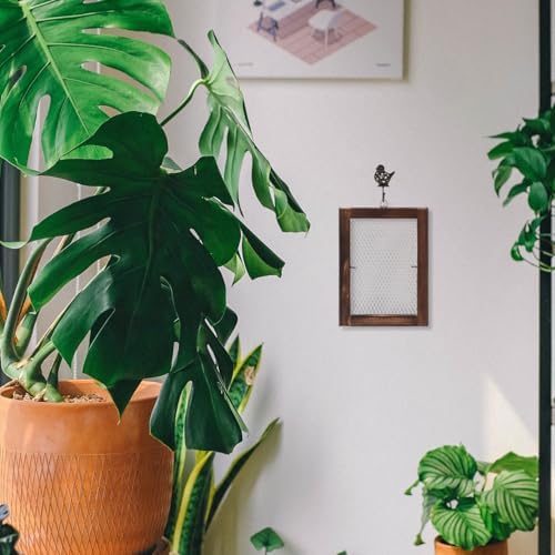Levemolo Staghorn Fern Hanging Board Wall Mounted Planter for Indoor Plants Air Plant Holder with Wire Mesh Space Saving Wall Decor for Living Room Bedroom Kitchen 13.58 X 9.84 X 0.78 in - Image 6