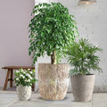Round Concrete Style Planter Set of 3, Large Outdoor Flower Pots with Drainage, Stone Texture Plant Pots for Indoor Outdoor Garden, Patio & Balcony Décor (3, Sandstone) by Unknown