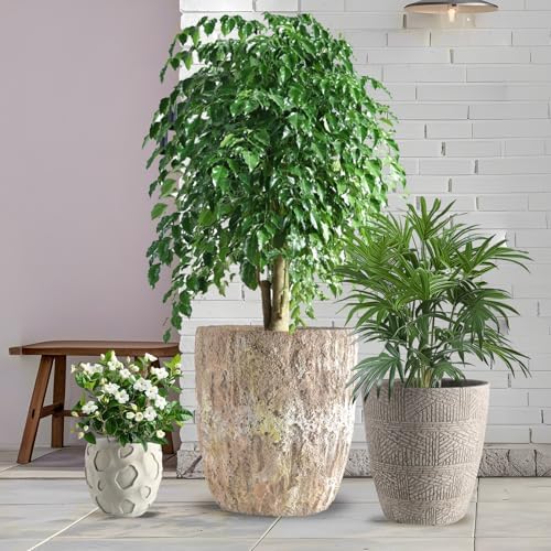 Round Concrete Style Planter Set of 3, Large Outdoor Flower Pots with Drainage, Stone Texture Plant Pots for Indoor Outdoor Garden, Patio & Balcony Décor (3, Sandstone) by Unknown