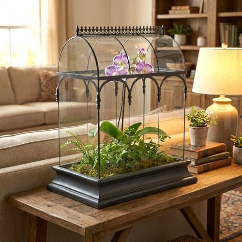 H Potter Large Glass Terrarium 22 Inch Tall, Curved Glass Wardian Case Planter with Resin Base, Indoor Display for Orchids Ferns Succulents, Removable Top - Image 2
