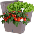 Oliz Window Box Planter 6 Pcs, 12.6 Inches Self Watering Rectangle Flower Plant Pots with Drainage Holes & Breathable Trays, Vegetable Planters for Windowsill Patio Garden Balcony Porch Yard (Khaki) by Oliz
