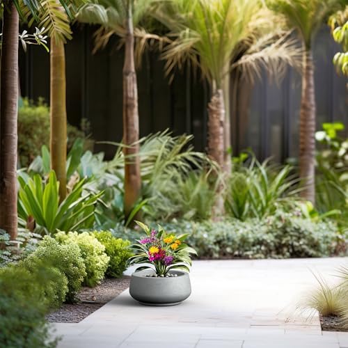 Kante Small Round Shallow Pale Gray Concrete Planter 12.5" Dia, Outdoor - Image 5