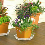 FUIJOL 4 Pack Clear Plant Saucer 20 Inch, Durable Plant Drip Trays Saucers for Pots, No Holes Water Catcher Trays for Indoor Outdoor Planter, Sturdy Base Plate(20", Clear) - Image 6