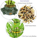 Athena’s Garden Lucky Bamboo Indoor Live Plant 3 Tier Tower Fresh Plant in Ceramic Planter (Elephant) - Image 2