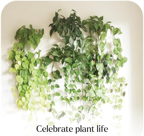 Make Good Virgo Wall Planters (Wide, Set of 6) - Easy to Water and Install - Lightweight - Design Your Own Vertical Garden - Melamine Plastic - Image 3