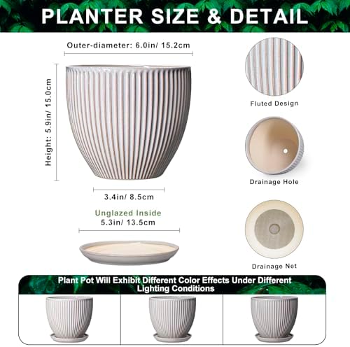 6 Inch Pots for Plants, Ceramic Plant Pots for Indoor Snake Plants, Round Succulent Planter with Drainage Hole and Saucer, Modern Decorative Flower Pot, Bathroom Decor, Gardening Gifts, Grey - Image 2