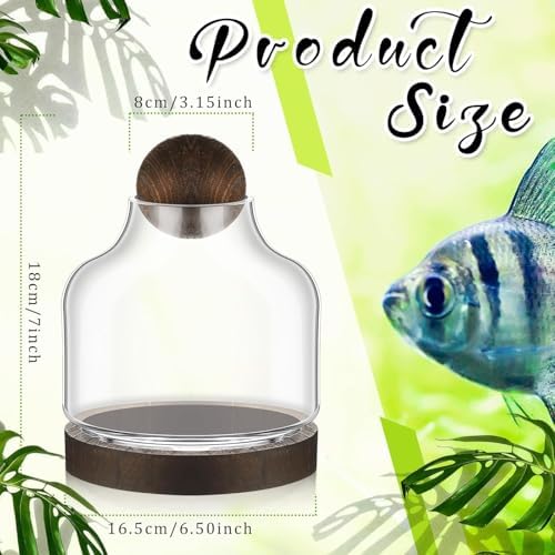 1 Pcs Glass Terrarium Container with Wooden Base and Decorative Ball Lid, 7 Inch DIY Terrarium Jar for Moss, Ferns, Air Plants and Succulents, Mini Indoor Garden Vase for Home Office Desk Decor - Image 2