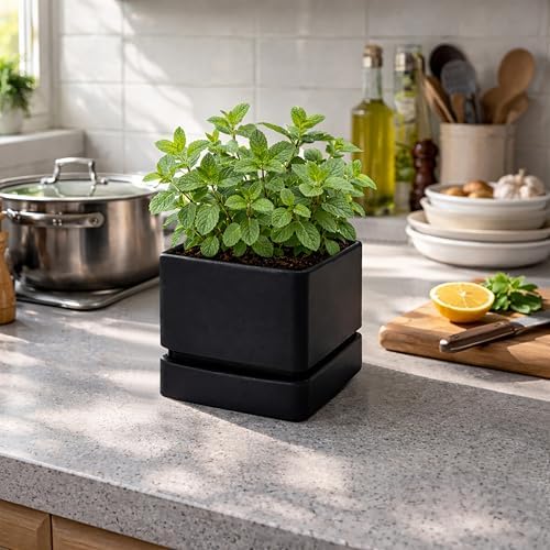 D'vine Dev 3-Pack Plastic Herb Planter Pots, 6 in, Black, 76-Y-B3-2 - Image 7