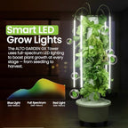 GX Hydroponic Tower | Vertical Planter Tower | Hydroponics Growing System Kit | Food Grade with 24 Net Pots (with LED Grow Lights) - Image 3