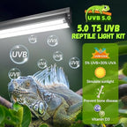 GlowUp 22inch 24W T5 5.0 UVB Light for Reptiles Light Fixture Combo Kit Reptile Lamp Tube Terrarium Hood UVB Light for Bearded Dragon Rainforest Dwelling Reptiles, Chameleons, Iguanas, Turtles - Image 2