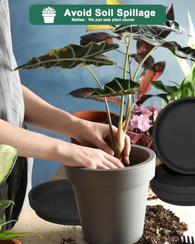 vensovo 8 Inch Black Terracotta Plant Saucer Pots Tray - 4 Pcs Round Planter Saucers for Indoor & Outdoor Plants, Large Clay Trays Perfect for 7 Inch 7.5 Inch 8 Inch Flower Pot - Image 4