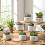 12 Pcs Difference Maker Gifts Succulent Pots Bulk for Employee - Image 4
