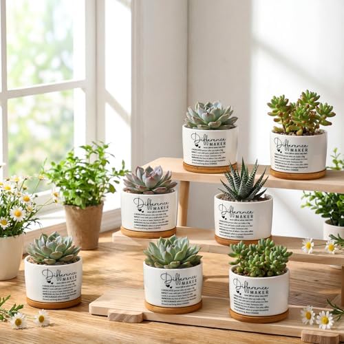 12 Pcs Difference Maker Gifts Succulent Pots Bulk for Employee - Image 4