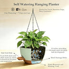 12 Inch Self Watering Hanging Planters 2 Pack, Green Brown - Image 5