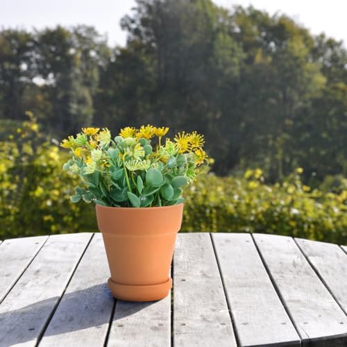 Wakauto Red Terracotta Succulent Pots with Saucers, Breathable Clay Plant Containers for Indoor and Outdoor Gardening, 8x8cm Flower Planters Set of 5 with Drainage and Water Absorption - Image 4