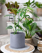 D'vine Dev 3-Pack Plastic Pots, 6.5/8/10 in, Speckled Gray, 74-V-G-4 - Image 7