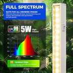 Barrina Grow Lights for Indoor Plant, Full Spectrum, T5 1FT Yellow, 4 Packs - Image 3