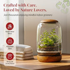 Glass Terrarium, Wood Lid and Base, 8.7" x 6.3" - Image 5