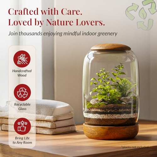 Glass Terrarium, Wood Lid and Base, 8.7" x 6.3" - Image 5