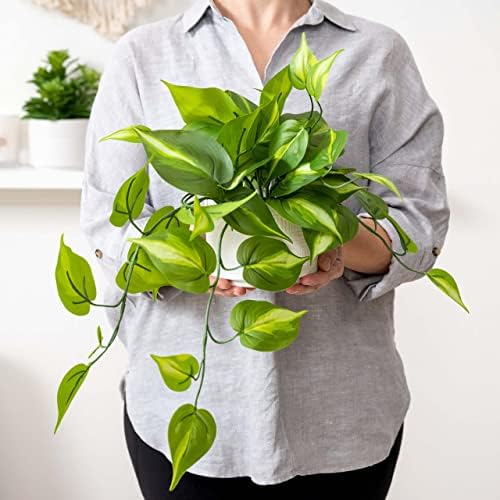 Kurrajong Farmhouse Dark Green Fake pothos | Fake Plant for Shelf Decor | Artificial Trailing Ivy Plant with 5" Wide Ceramic Pot | Faux pothos | Feaux Pothos | Bathroom and Kitchen Decor - Image 3