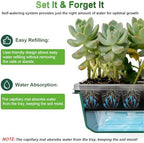 TONYFUL Seed Starter Tray with Grow Light, 120-Cell Seed Starter Kit with 4.07” Humidity Dome, Indoor Seedling Starter Tray, Seed Starting Tray for Plant Germination, Seeds Growing - Image 4
