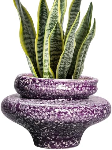 Ceramic Planters - 11 Inch Ceramic Pots for Plants with Drainage Hole, Decorative Planters for Indoor Outdoor, Unique Flower Pots, Garden Office House Decor, Gifts for Plants Lover, Purple by Teagas