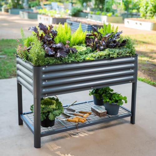 Vego garden Elevated Raised Garden Bed, 2' x 4' Outdoor Planters Boxes with Legs & Storage Rack for Patio, 700 Lbs Weight Capacity, Raised Beds for Gardening Herbs Vegetables, Modern Gray - Image 7
