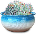 8 Inch Succulent Pot with Drainage and Saucer Glazed Terracotta Round Ceramic Succulent Planter Cactus Bonsai Plant Pot (Light Blue) by SUMMERIMPRESSIONS