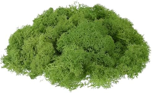 uxcell Preserved Reindeer Moss, 17.6oz Fake Moss for Crafts Artificial Dried Moss for Decoration Terrariums Potted Plants, Light Green by uxcell