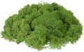 uxcell Preserved Reindeer Moss, 17.6oz Fake Moss for Crafts Artificial Dried Moss for Decoration Terrariums Potted Plants, Light Green by uxcell