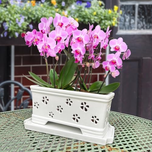Rectangle Ceramic Orchid Pot with Holes and Saucer 12Inch Ceramic Large Pot Basin for Refilling Indoor and Outdoor Use Air Circulation Orchid Planter for Repotting Planter White - Image 6
