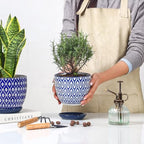 Selamica Ceramic Plant Pots, 4.6+5.6+6.5 Inch Planters with Drainage Holes & Saucer, Flower Pots for Indoor Plants, Home Decor, Set of 3, Vintage Blue - Image 6