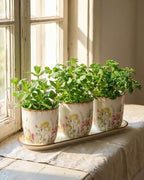 vensovo Ceramic Planter Set with Tray, 3 Small Herb Pots, Meadow Floral - Image 2