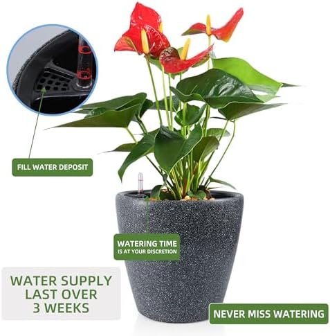 Dexceder 15x14 Self Watering Planter with Wheels (Stone Matte) - Image 5