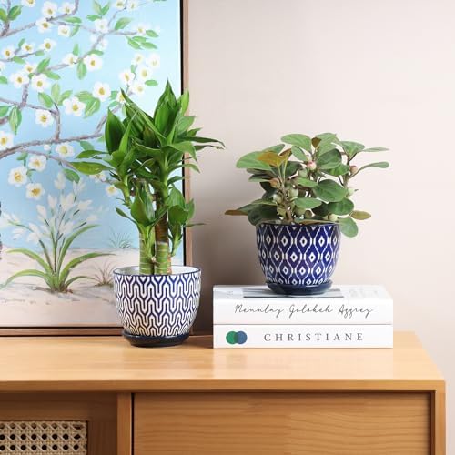 Selamica Ceramic Plant Pots, 4.6 Inch Flower Pots for Indoor Plants, Succulent Pots with Drainage Hole & Saucer, Succulent Planters for Succulent Cactus, Home Decor, Set of 4, Vintage Blue - Image 6