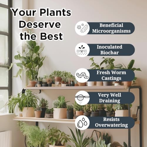 Premium Indoor Plant Potting Mix (4qt) – Peat-Free, Well-Draining Soilless Blend for Aroids & Tropical Houseplants with Coco Coir, Biochar & Pumice - Image 3
