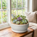 10 Inch Ceramic Bonsai Tree Pots with Saucer, Brushed Grey - Image 3
