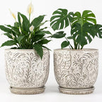 Decorative Ceramic Planter Pot with Saucer, Brown with Gold and Silver Owl Pattern, Indoor Garden Container with Drainage (White, 6 inch) by Claybourne