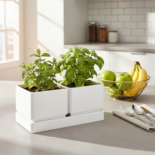 D'vine Dev 2-Pack Herb Garden Planter Set with Saucer, White, 76-Q-A-2 - Image 5
