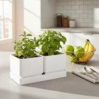 D'vine Dev 2-Pack Herb Garden Planter Set with Saucer, White, 76-Q-A-2 - Image 5