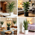 10 Inch Square Planters with Saucers 5 Pack,Heavy Duty Black Plant Pots - Image 3