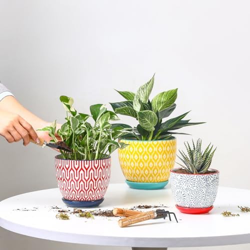 Selamica Ceramic Plant Pots, 4.6+5.6+6.5 Inch Planters with Drainage Holes & Saucer, Flower Pots for Indoor Plants, Home Decor, Set of 3, Assorted Colors - Image 2