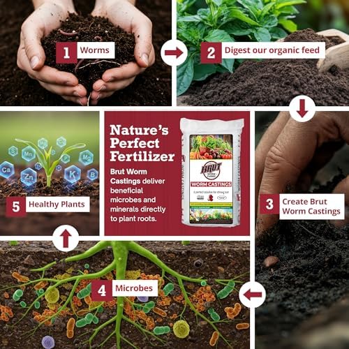 Brut Organic Worm Castings for Plants 12 LB – Natural Nutrients, Fertility Builder, Plant Food for Potting Soil and Garden Soil – Indoor and Outdoor Use - Image 3