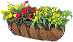 Arcadia Garden Products Hanging Window Basket Metal Trough Flower Planter with Coco Liner for Outdoor Windowsill, Railing, Patio, Garden, Balcony, Fence, 24-inch by ArcadiaGardenProducts