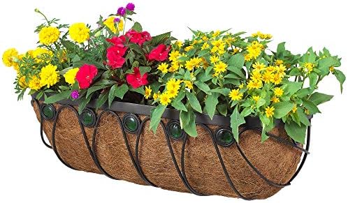 Arcadia Garden Products Hanging Window Basket Metal Trough Flower Planter with Coco Liner for Outdoor Windowsill, Railing, Patio, Garden, Balcony, Fence, 24-inch by ArcadiaGardenProducts
