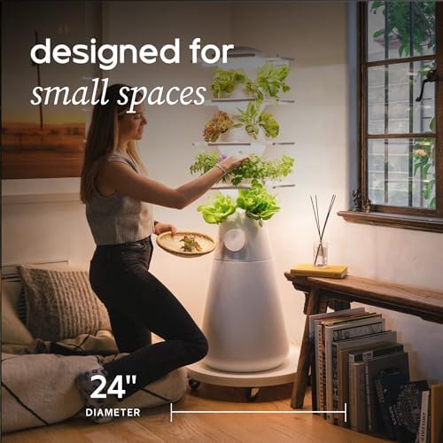 Lettuce Grow 24in Plant Dolly with Wheels | Rolling Base for Planters - Image 3
